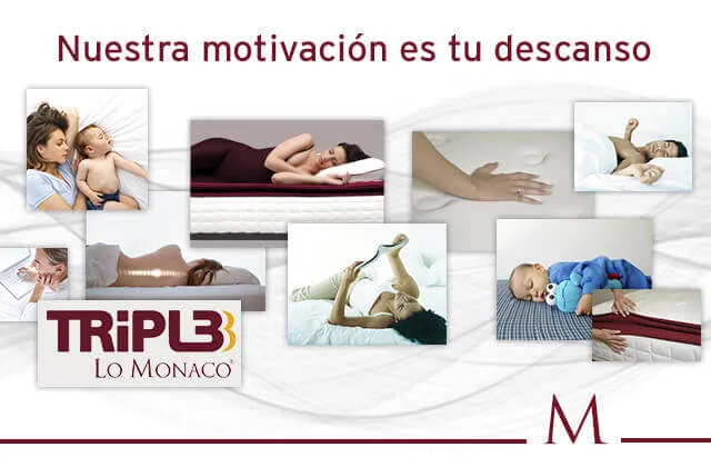 Carta-lector-Grupo-Lo-Monaco