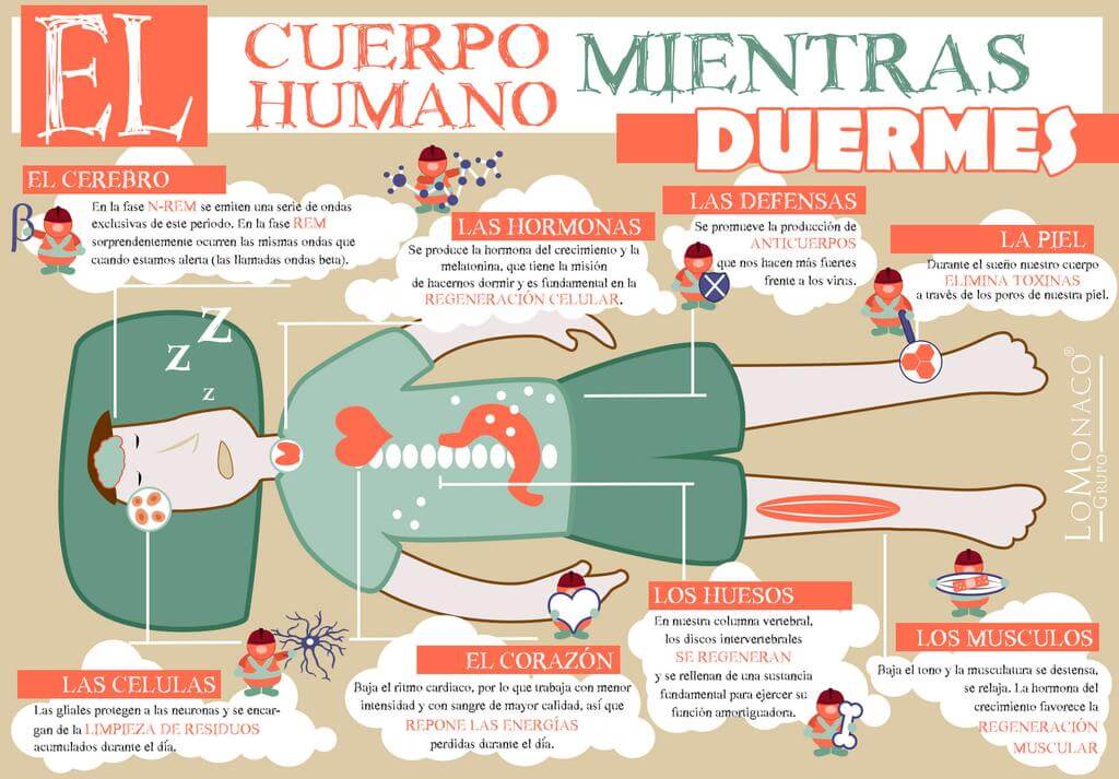 Infografía-Mientras-duermes-Lo Monaco