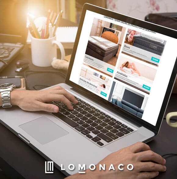 Persona-que-busca-opiniones-sobre-colchones-Lo-Monaco-en-pc