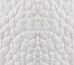 Piel blanco